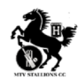 MTV Stallions