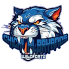 Chichi Albayanos Wild Catz